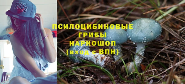 молекула духа Балахна