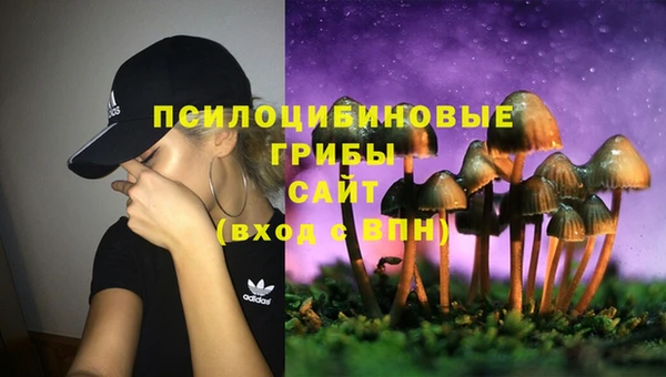 молекула духа Балахна