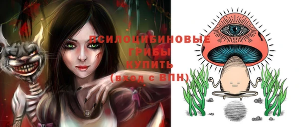 молекула духа Балахна