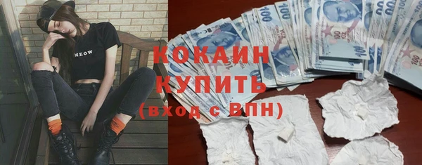 крисы Баксан
