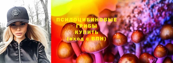 молекула духа Балахна